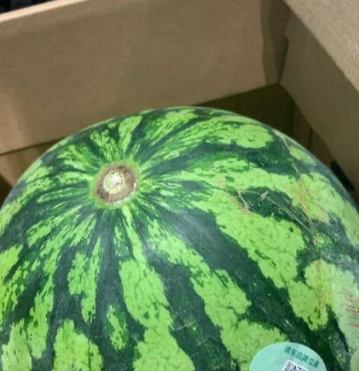 真假吃瓜视频大全,揭秘网络热点背后的真相