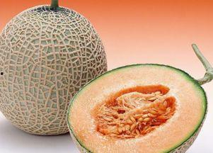 小黄嘴哥吃哈密瓜视频大全,甜蜜瞬间大盘点