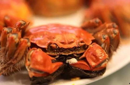 大瓜吃大螃蟹视频大全下载,海量精彩瞬间，一键下载收藏