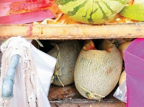 吃哈密瓜吐痰还敢吃吗视频,吐痰后还能安心享用吗？