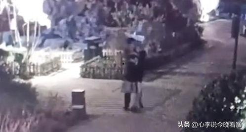 永清吃瓜事件真相视频全集